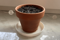 Classic Plant Pot Saucer | HorseLoverZ